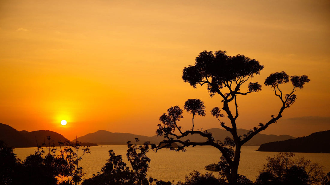 Ideas for Pet Cremation Jewelry Keepsake