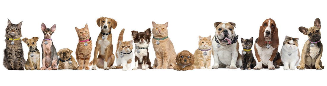 What tips should consider to choose right cremation jewelry?