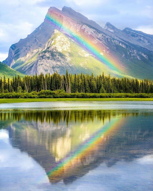 What do you know about ashes?