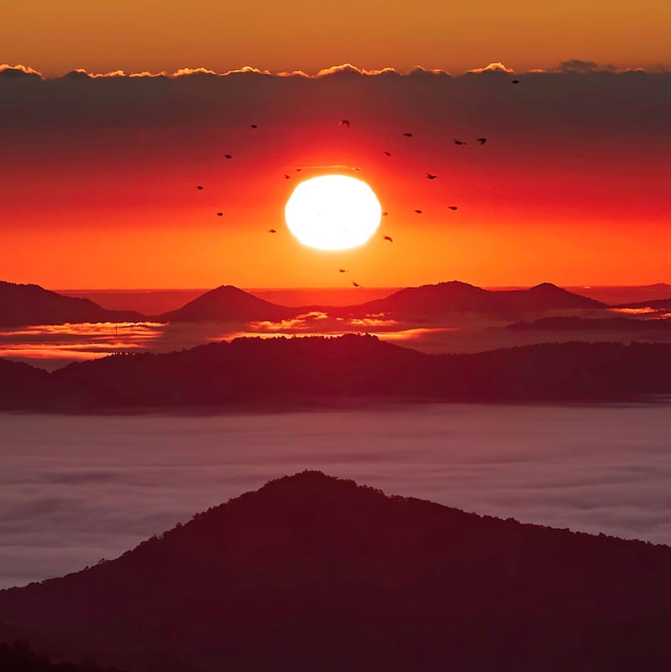 4 Unique Cremation Keepsakes Options