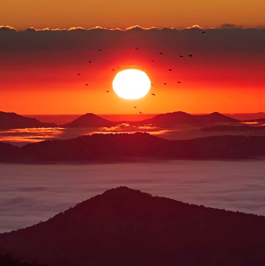 4 Unique Cremation Keepsakes Options