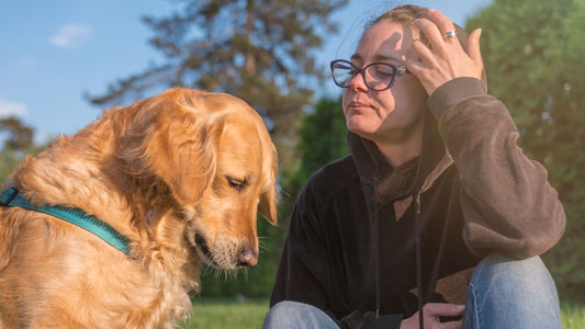 Beautiful-looking and affordable cremation jewelry